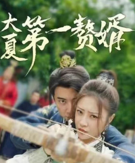 大夏第一赘婿海报