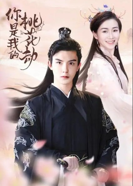 你是我的桃花劫海报