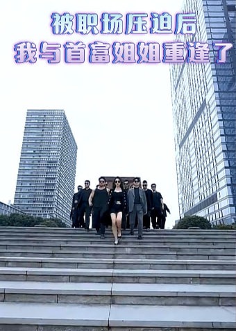 被职场压迫后我与首富姐姐重逢了海报