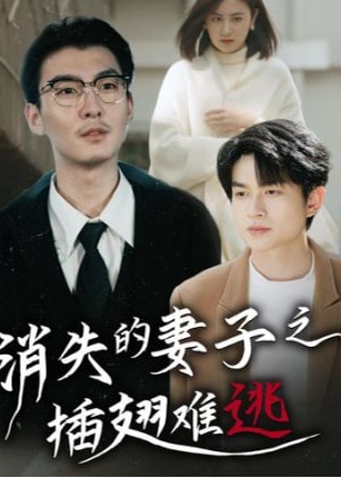 消失的妻子之插翅难逃海报