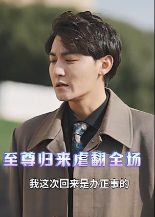 至尊归来虐翻全场海报