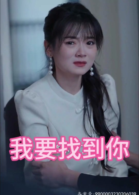我要找到你海报