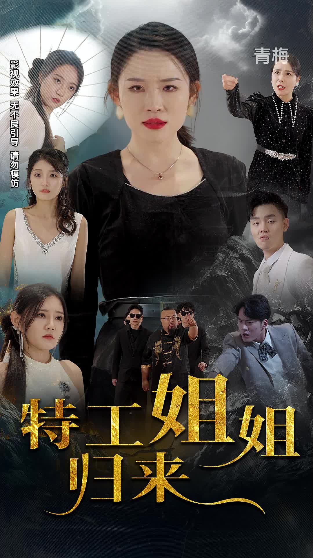 特工姐姐归来海报