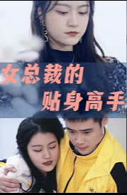 女总裁的贴身高手海报