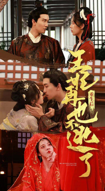 重生后王妃再也不逃了海报
