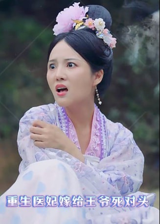 重生医妃嫁给王爷死对头海报