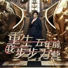 重生五年前我步步为营海报