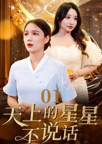 天上的星星不说话海报