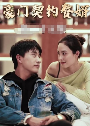 豪门契约赘婿海报