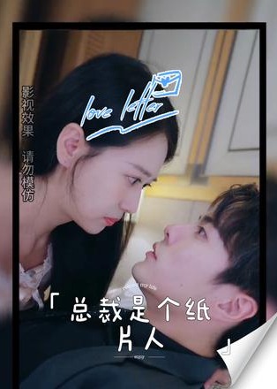 总裁是个纸片人海报