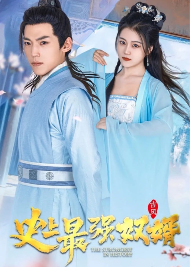 史上最强奴婿海报