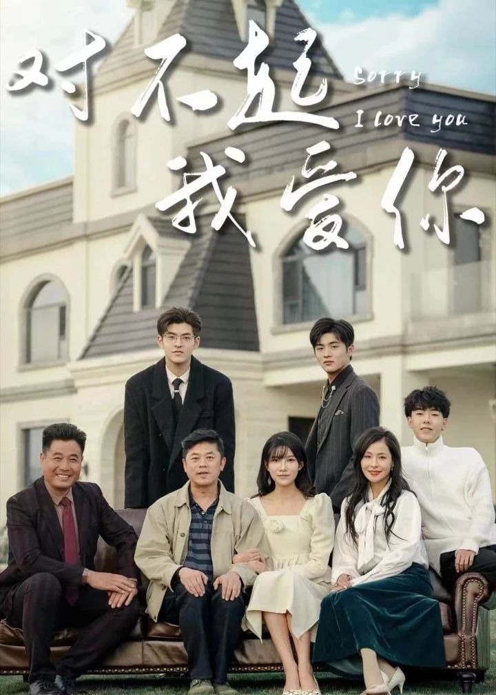 对不起我爱你海报