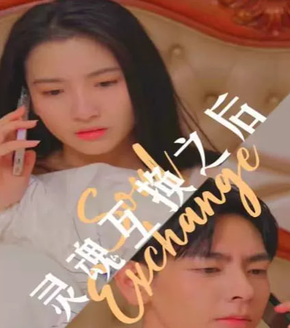 灵魂互换之后海报