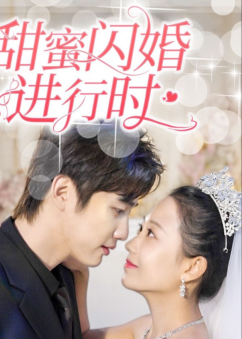 甜蜜闪婚进行时海报