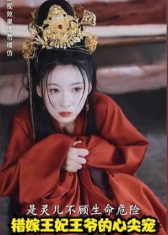 错嫁王妃王爷的心尖宠海报