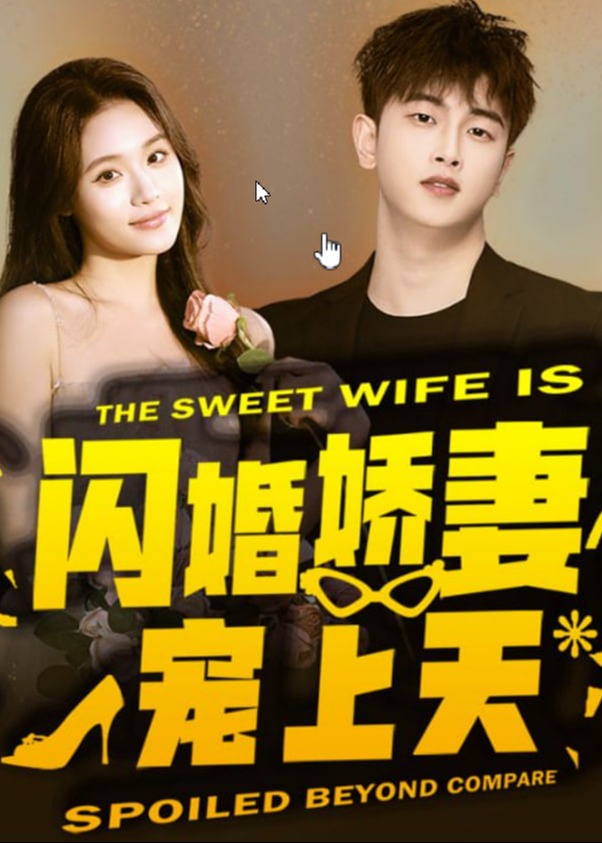 闪婚娇妻宠上天海报