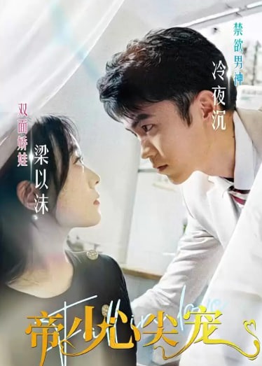 帝少心尖宠海报