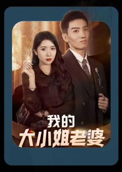 我的大小姐老婆海报