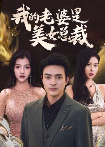 我的老婆是美女总裁海报