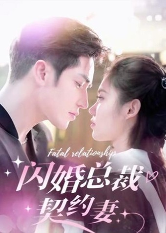 闪婚总裁契约妻海报
