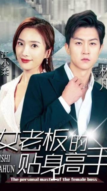 女老板的贴身高手海报