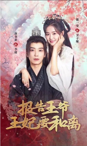 报告王爷王妃要和离海报
