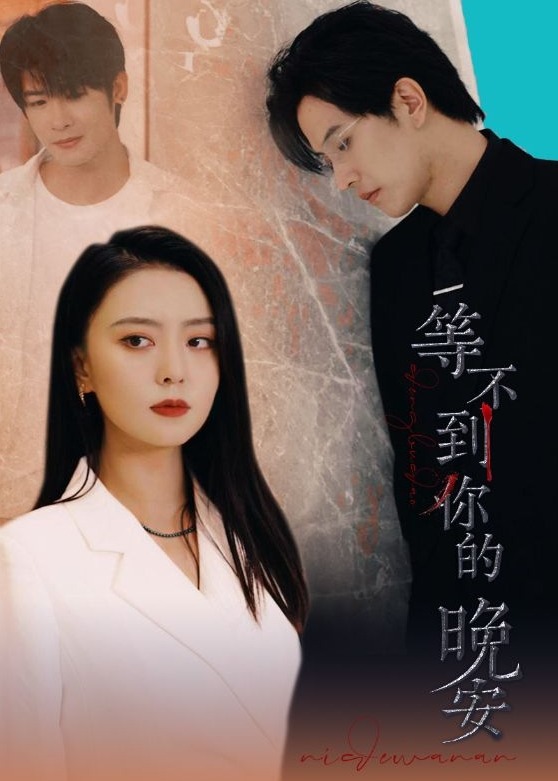 等不到你的晚安海报