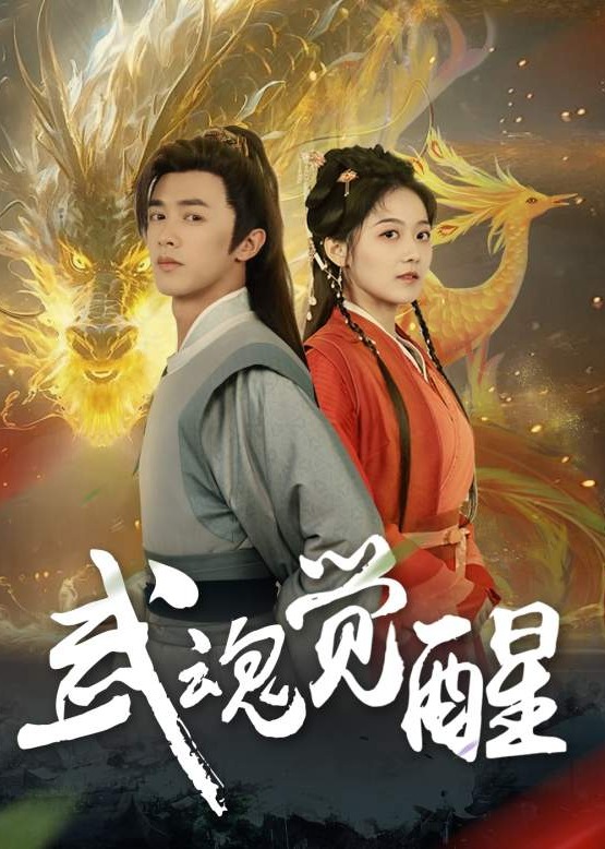 武魂觉醒海报
