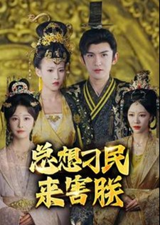 总想刁民来害朕海报