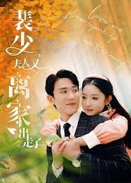 裴少夫人又离家出走了海报