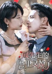 闻先生的马甲又掉了海报
