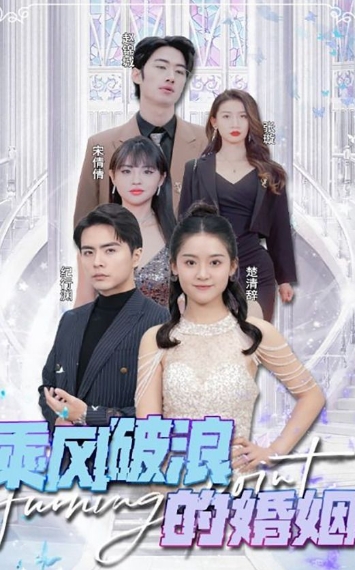 乘风破浪的婚姻海报