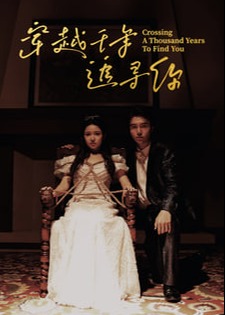穿越千年追寻你海报