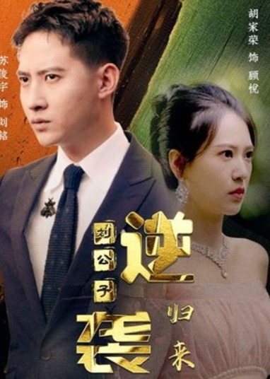 逆袭刘公子归来海报