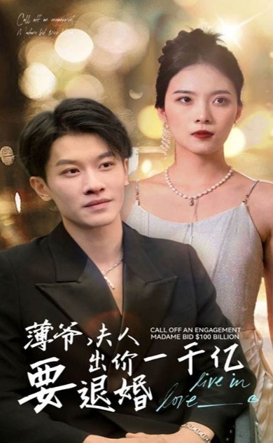 薄爷夫人出价一千亿要退婚海报