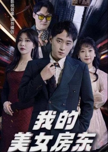 我的美女房东海报