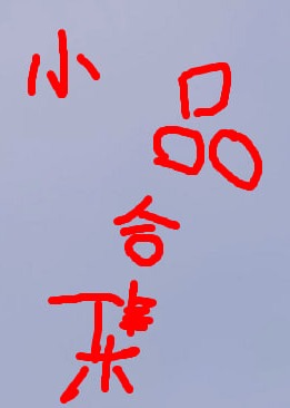 小品合集海报