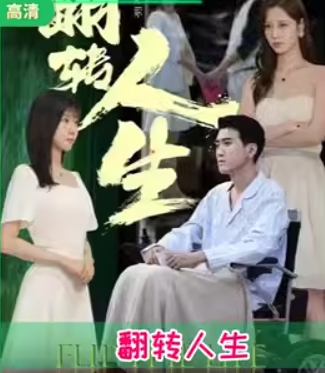 翻转人生海报