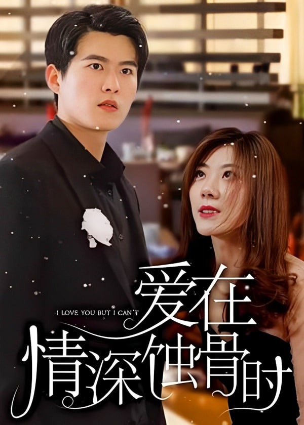 爱在情深蚀骨时海报