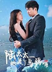 陆太太她是个乌鸦嘴海报