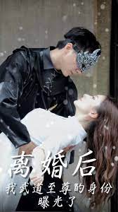 离婚后我武道至尊的身份曝光了海报