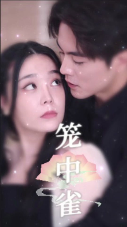笼中雀海报