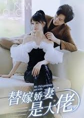 新版替嫁夫人是大佬海报