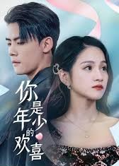 你是年少的欢喜海报