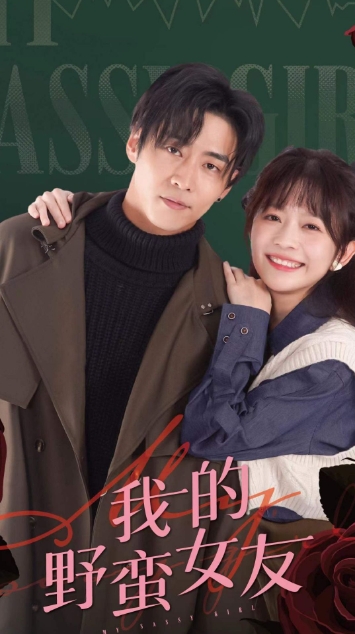 我的野蛮女友海报