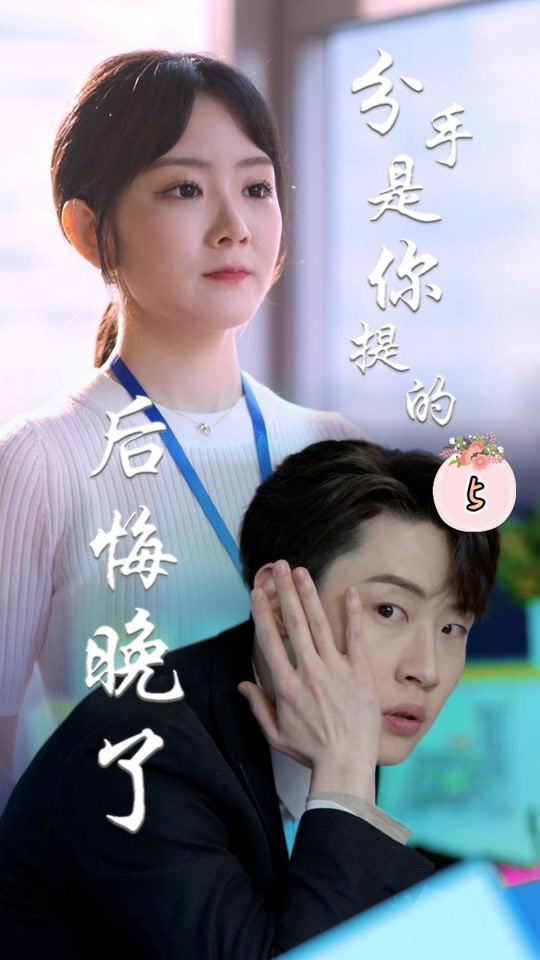 分手是你提的后悔晚了海报