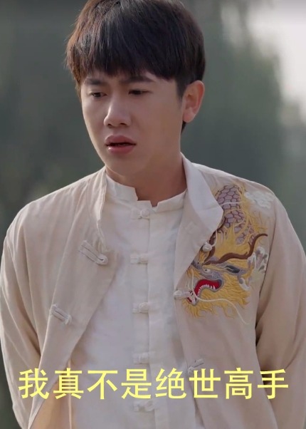 我真不是绝世高手海报