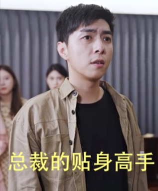 总裁的贴身高手海报