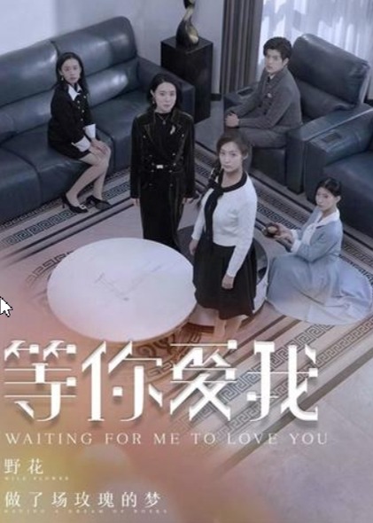 等你爱我海报