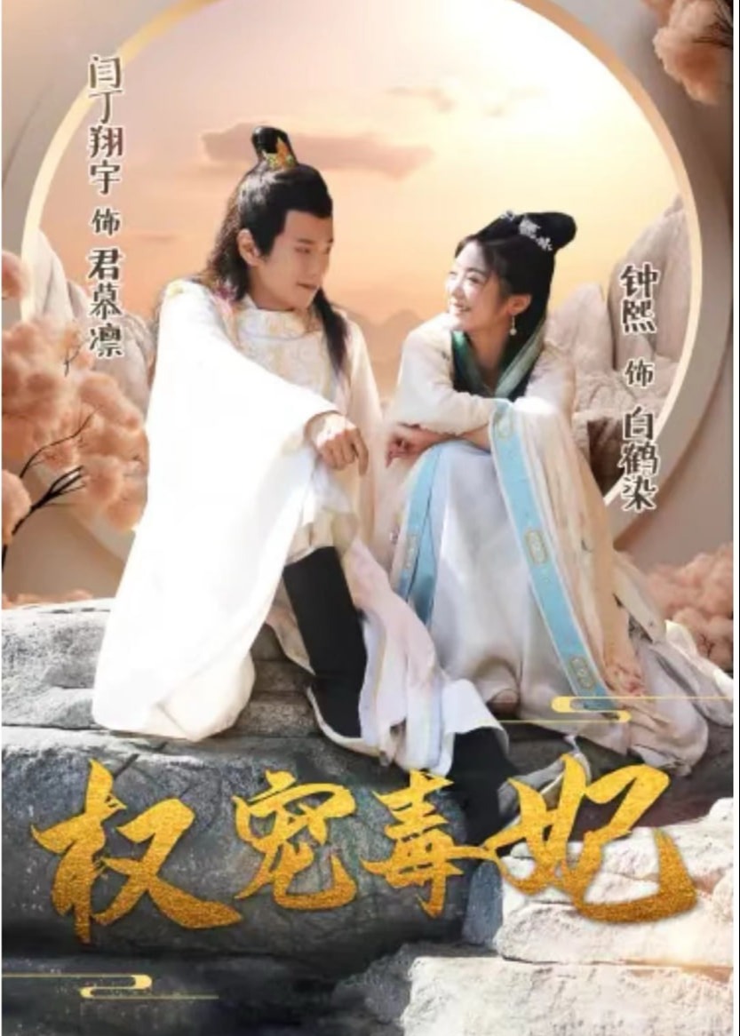 权宠毒妃海报